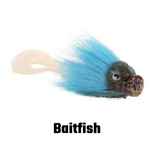 Baitfish