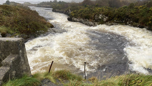 Growing opposition over proposed Galway salmon farm