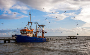 Fishing fund gears up to help UK industry go green