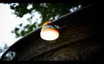 Guardian Magnetic Bivvy Light - Waterproof Camping Light