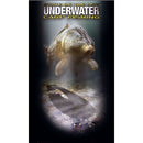 Korda State Of The Art Underwater Carp Fishing Volume 5