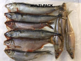 Pike Deadbait