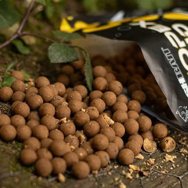 Nashbait Scopex Squid Boilies 2024