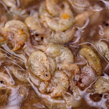 Nashbait Brine Shrimp & Gamarus Liquid Attractor