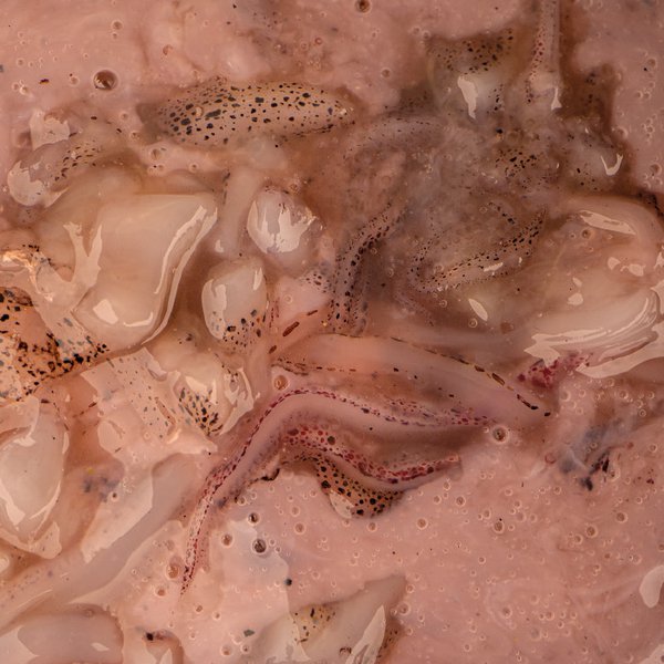 Nashbait Salted Squid Liquid Attractor