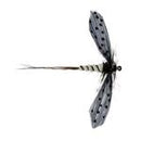 Caledonia Fly Company Moose Main Spent Mayfly