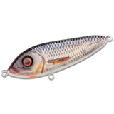 Predator Fishing Lures - Anglers World