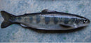 Rebel Pike Salmon Smolt-Parr Deadbait