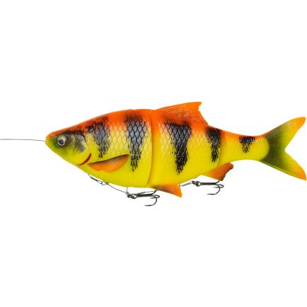 Savage Gear 4D Lures - Predator Fishing Lures - Anglers World